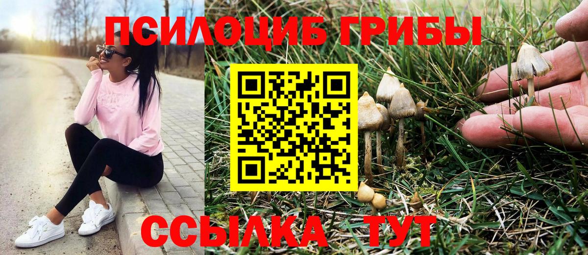 закладки  Галлюциногенные грибы Psilocybe  Вход с VPN  Галлюциногенные грибы Cubensis  Кизляр 